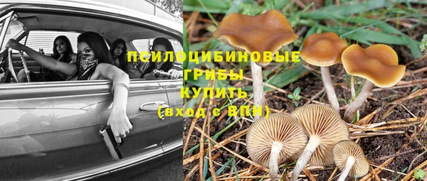 мдпв Дегтярск